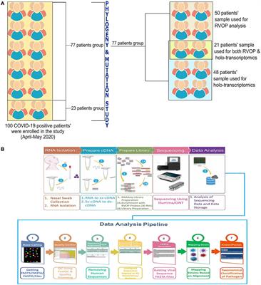 Respiratory Co-Infections: Modulators of SARS-CoV-2 Patients’ Clinical Sub-Phenotype